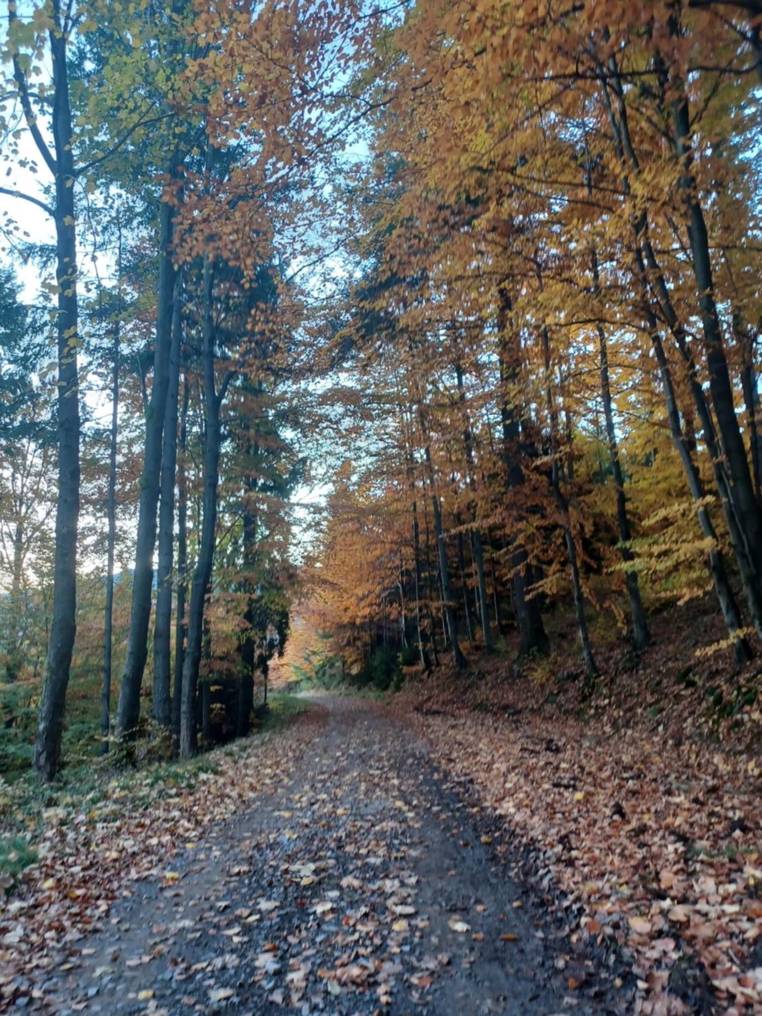 Domek Na Skalce Zabnica Екстериор снимка